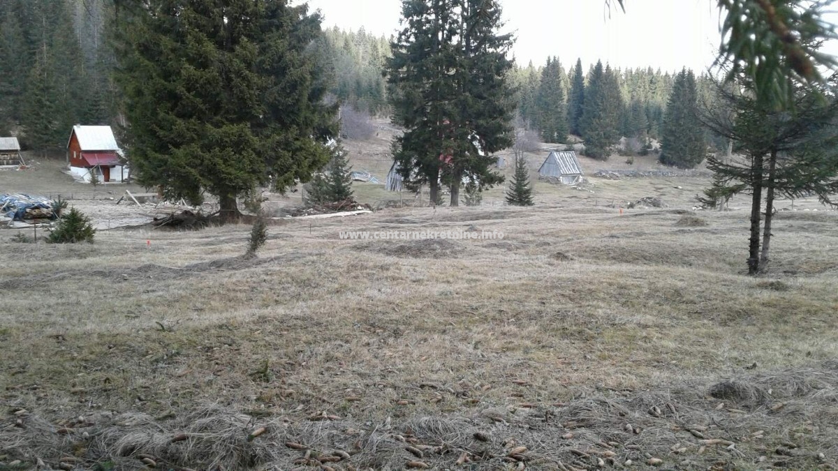 Prodaja, zemljište 513m2, Palež, Žabljak